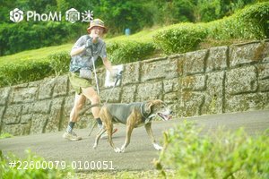 照片預覽