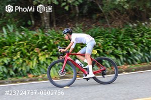 精選照片