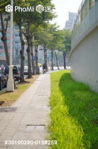 精選照片