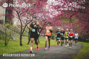 照片預覽