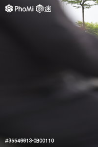 照片預覽