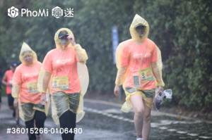 精選照片