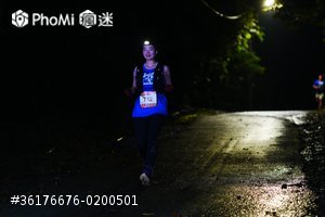 照片預覽