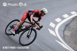 精選照片