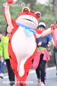 精選照片