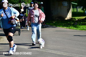 照片預覽