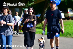 照片預覽