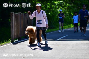 照片預覽