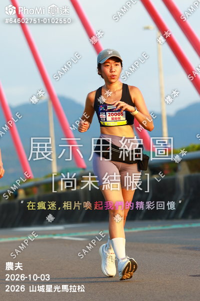 2026 山城星光馬拉松活動照片