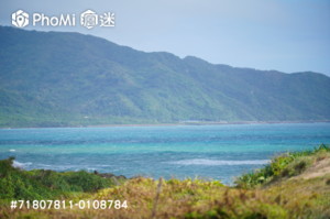 精選照片