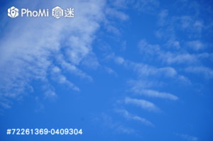 精選照片