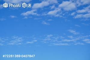 精選照片
