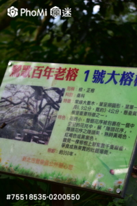 精選照片