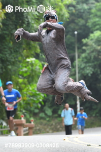 精選照片