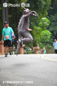 精選照片