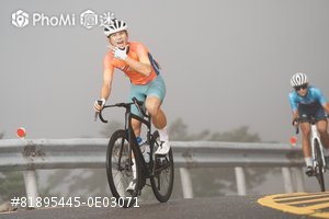 精選照片