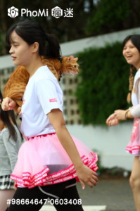 精選照片